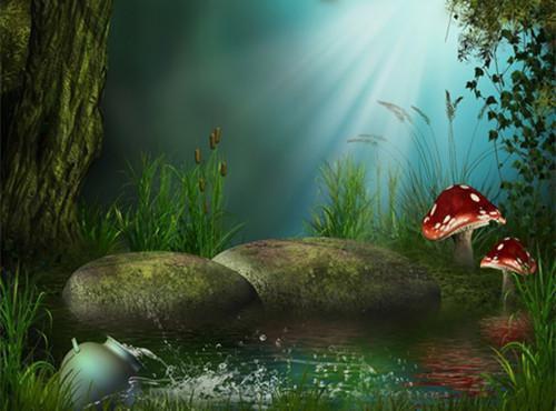 秋季食疗进补美食食谱