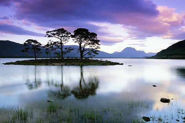 冬季该吃什么养肾防寒