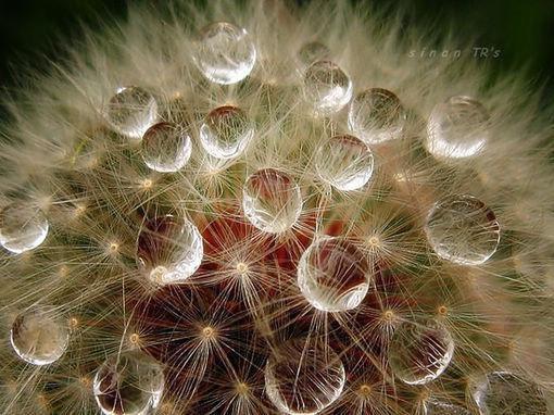 夏天多吃绿豆，这些注意事项你别忘