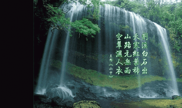 吃慢点儿可延年益寿
