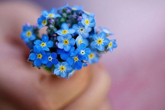 自汗、盗汗的饮食疗法