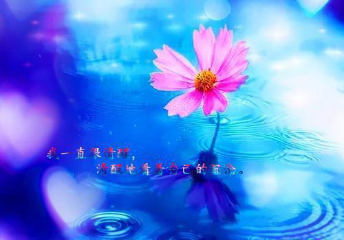 荤素豆谷混食可以“补钙”