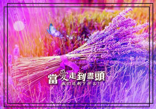 高血压患者宜少吃盐