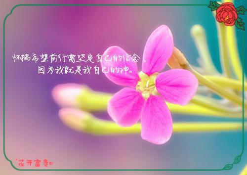 孩子感冒发烧饮食应及时调整