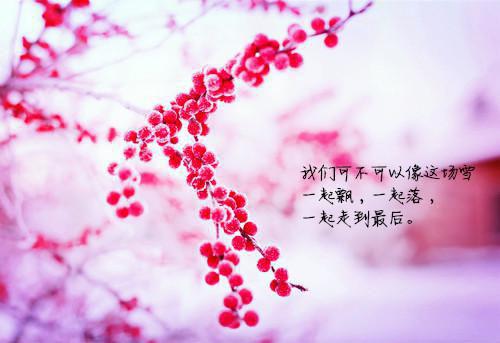 蜂蜜止咳效果胜吃药