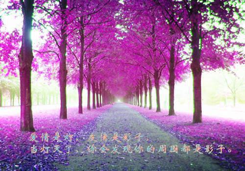 供暖季六水果蒸着吃防燥