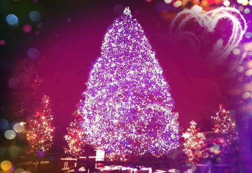 三种秋季水果能治疗便秘