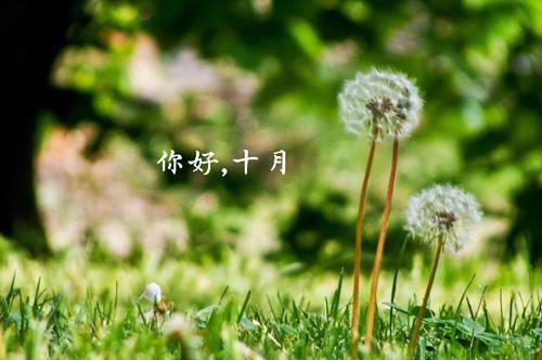 专家解密：4种食物让皱纹消失