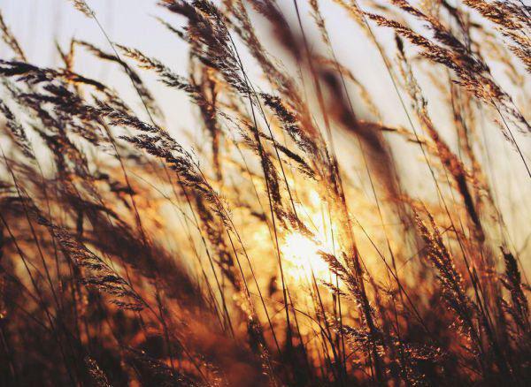 巧妙用水治疗九种病