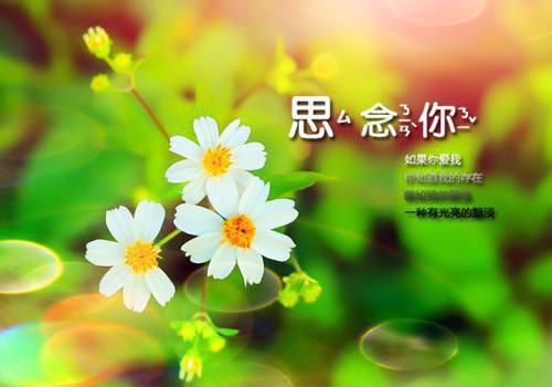 七种便宜又强肾的食品