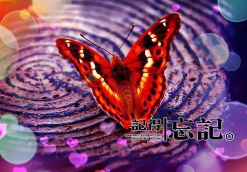 这6类调味品 准妈妈要少吃