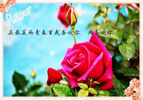 这样吃没错 孕期吃出聪明宝宝
