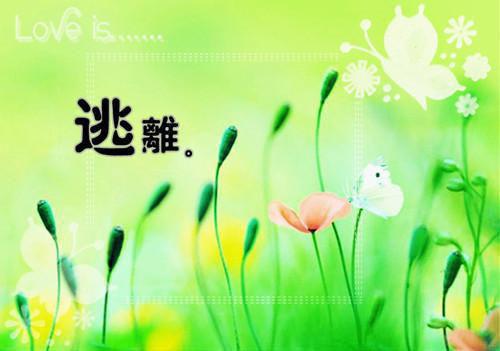 产后妈咪的美容食疗方
