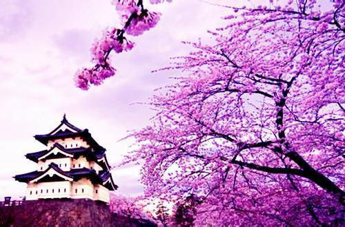 春季吃什么食物可以补血？