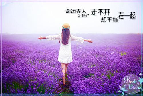 经期减肥四原则 瘦身更健康
