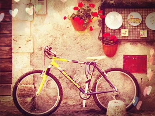 白露五行如何养生