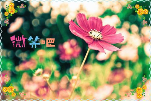 这5种食物千万不要给宝宝吃