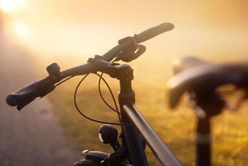 大雪节气养生要吃的食物