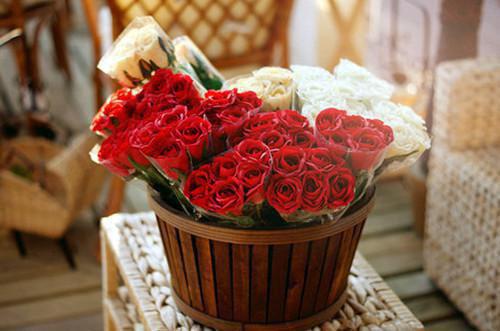 爱发火的人养生“多食苦”