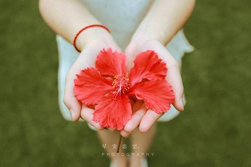 食物疗法新发现