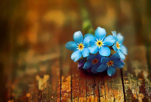 产妇产后气血不足,多吃这6款食疗方