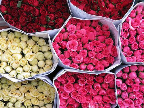 粉皮的营养价值剖析