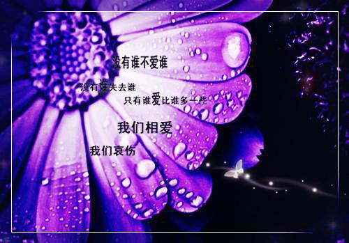 秋天滋补保健 喝猴头鸡肉汤