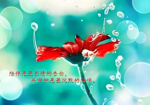 养肝排毒，减轻肝脏负担！