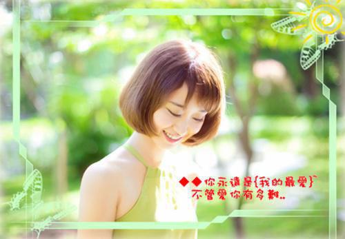 番茄土豆炖牛肉 补铁养血