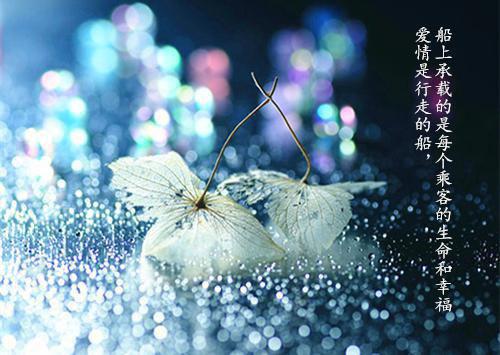 香菜营养价值高 味道辛辣宝宝别吃