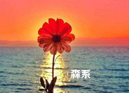 4款宝宝喜爱的坚果粥