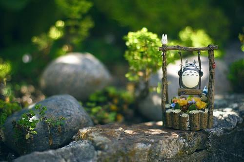 十四种超级食物助防病