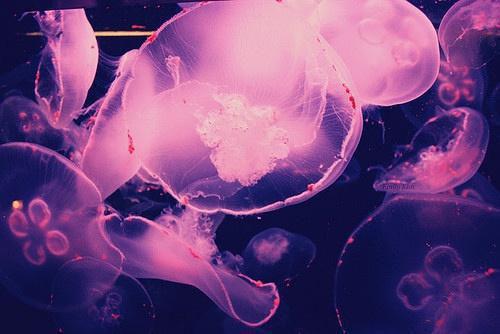 中医告诉你哪上火