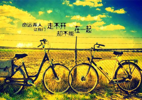 八种超级降压食物