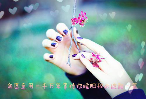 萝卜能治哪些病