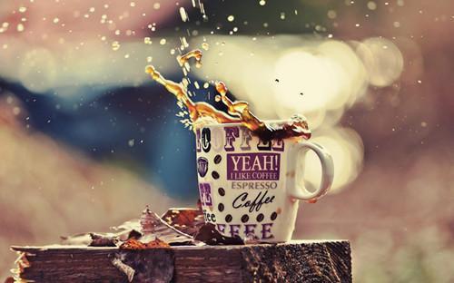 秋季四大清火食物