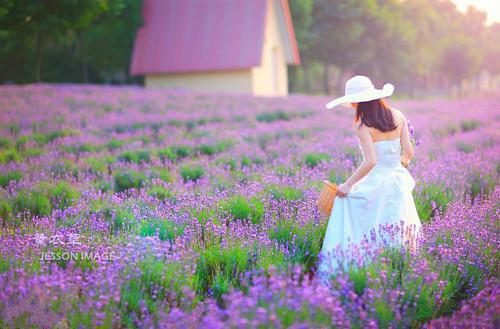 鹿茸补身要从小剂量开始吃