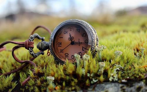 月经不调的经典食疗法