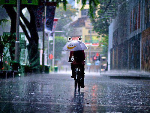 最解酒的六种食物