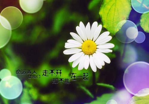 工作忙总犯胃病，吃什么养胃？