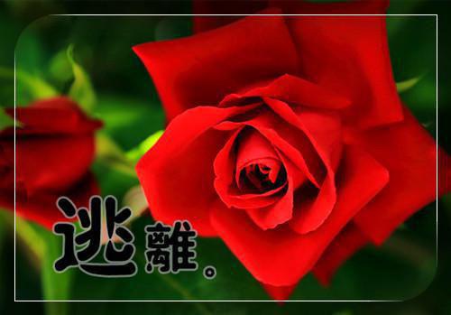 冬季想补血就吃四种干果