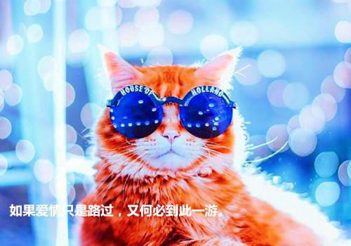 越甜的橘子抗癌效果越好