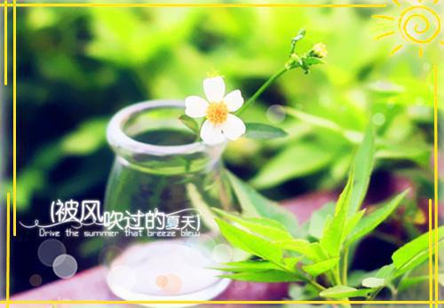 脾胃不好了？调理脾胃注意6个事项