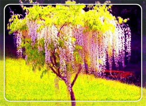 孕妇到了8月份该怎么吃？