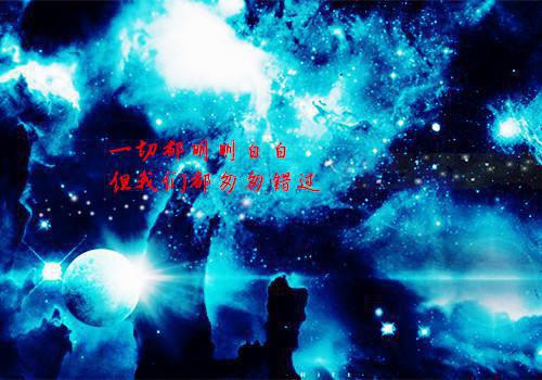 牛肝菌的营养价值剖析