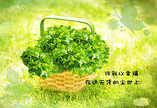 孕妇若大补 莫若食豆腐