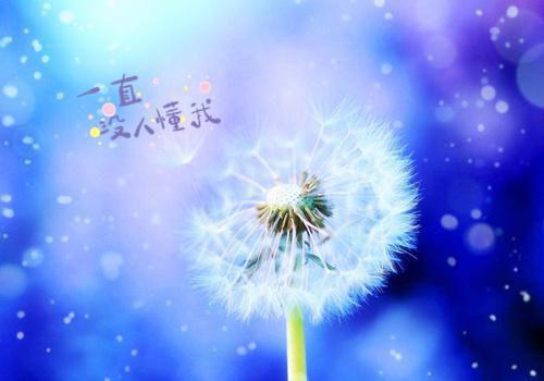 多吃彩色蔬果 孩子更健康