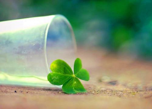 七月份养生，记得多喝水