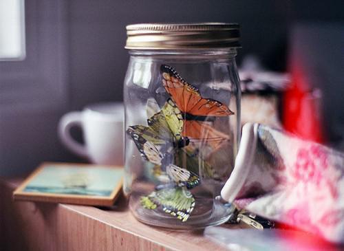 夏季腹泻真要命，止泻食谱为您奉上