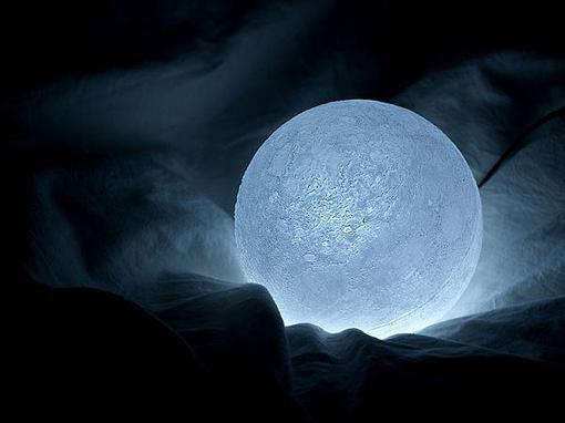 六种养肾食物让男人更自信